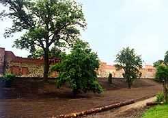 Stadtmauer Beeskow